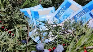 На что крымчане потратят свою новогоднюю премию 