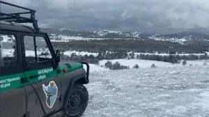 Ялтинский заповедник изменит свой статус