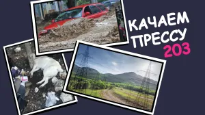Качаем прессу: Крымский депутат отмахнулся от ДТП, травля собак в Парке Победы, любовь к плохим новостям