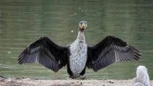 Севсети#1427: Севастополь о событиях дня