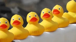 В Кремле ответили на слухи о введении военного положения в РФ