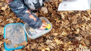 Кто и зачем ищет клады XXI века в крымских горах и городах