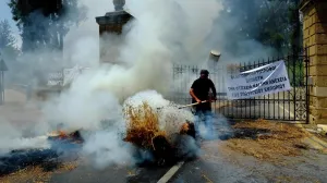 Фермеры на Кипре устроили «дорожно-молочный» протест