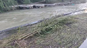 Деревьям в столице Крыма понадобится «скорая помощь» после сбросов лишней воды 