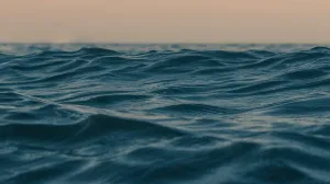 Ночной заплыв на западе Крыма чуть не закончился печально для туриста из Самары