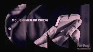 Доверчивостью севастопольцев с успехом продолжают пользоваться аферисты — ForPost «Реактор»