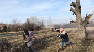 Закулисье чистого Крыма: как жители Кировского района оказались дворниками поневоле