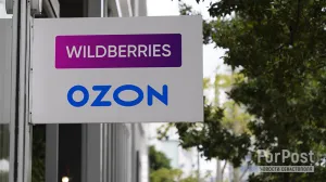 Стал известен процент подделок на Wildberries, Ozon и «Яндекс Маркете»