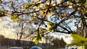 Что обещают крымчанам звёзды в период весеннего равноденствия