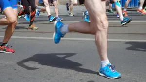 В Севастополе система распределения грантов не стала более прозрачной