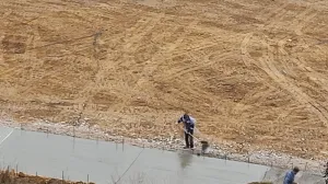 Губернатор Севастополя попросил «бить лопатой» льющих бетон на побережье 