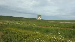 Осовинскую степь на востоке Крыма подготовили на случай пожара