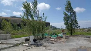 В Севастополе таки закрыли скандальное предприятие