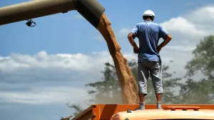 Во Франции признали, что Россия доминирует на рынке зерна 