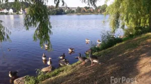 Старые и новые коммерсанты продолжают биться за землю в Севастополе 