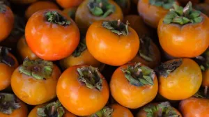 «Божественный огонь» в Крыму лечит, вяжет, украшает