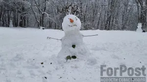 Неделя под знаком «минус»: Крым накроет морозами и снегопадами