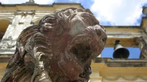 Страна ананасов, манго и кофе: чем столице Крыма поможет побратим из центра Америки