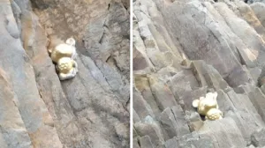 Севастополь захватили олимпийские мишки таинственного происхождения