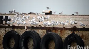 Погода в Севастополе вошла в норму