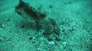 Снаряды были найдены на 20-метровой глубине в Голубой бухте.