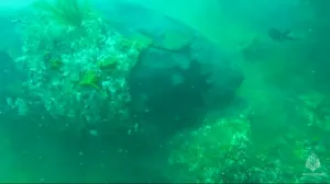 250-килограммовый снаряд обнаружили в 100 метрах от берега.