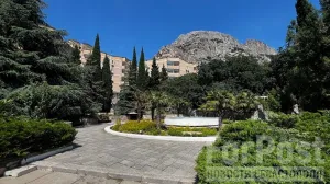 Целебный климат Крыма творит чудеса. 