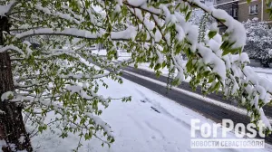 Зима пришла? В городах России выпал первый снег