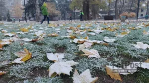 Осень в Крыму окончательно уступит права зиме на следующей неделе.