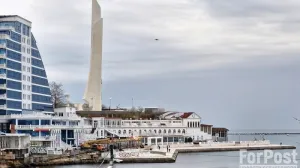 Островок зелени на бетонной набережной в центре Севастополя безвозвратно уничтожен.