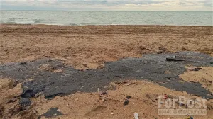 Выбросы мазута фиксируют во многих районах Крыма. 