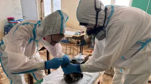 В Крыму центры по помывке птиц до сих пор работают в Керчи, Феодосии, Судаке, Ялте и Алуште.