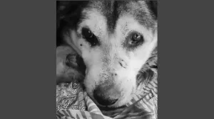 В Севастополе умер Большой Сэм с Московского рынка