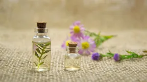 Чаще всего в Крыму подделывают самые популярные масла — лаванды и розы.