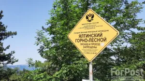 Для крымчан и севастопольцев вход всё ещё бесплатный. 