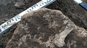 Земляные работы затронули памятники археологии различных исторических эпох.