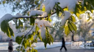 Апрель неожиданно принёс в Крым заморозки и снег.