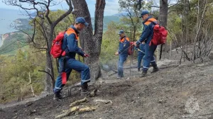 В тушении пожара возле Алушты за трое суток поучаствовали 639 человек.