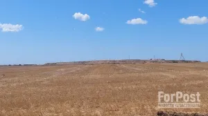 Сильнее всего засуха ударила по степным районам Крыма.