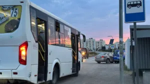 Проверки севастопольских автобусов показали грустные результаты.