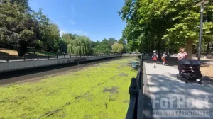 Теперь к зоне для прогулок в столице Крыма не хочется приближаться. 