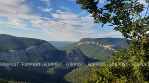 В Крымских горах лишь 40 туристических маршрутов обработали от клещей.