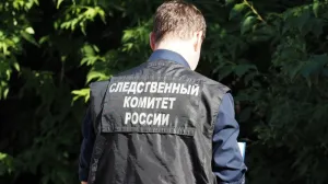 Дело о вывезенной из Крыма девочке-сироте находится на контроле в Москве.
