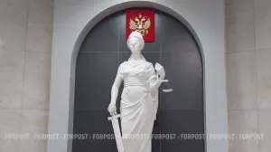 Мошенничеством крымский чиновник занимался не один. 
