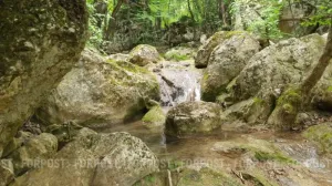 Ситуация с наполнением рек и водохранилищ в Крыму продолжает оставаться напряжённой. 
