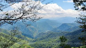 Разводить огонь в крымских лесах по-прежнему запрещено. 