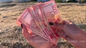Деньги от продажи имущества украинских граждан идут на благоустройство Крыма. 