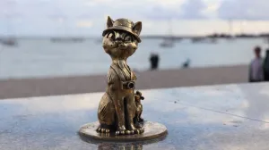 Кот стал талисманом Евпатории.