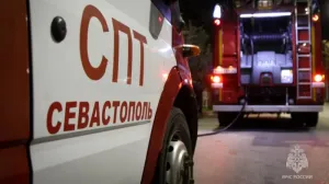 Фотография носит иллюстративный характер.