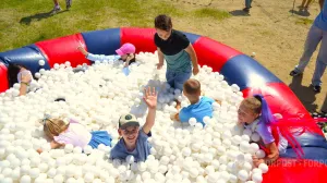 Свою работу подрядчик оценил почти в 300 тысяч рублей.